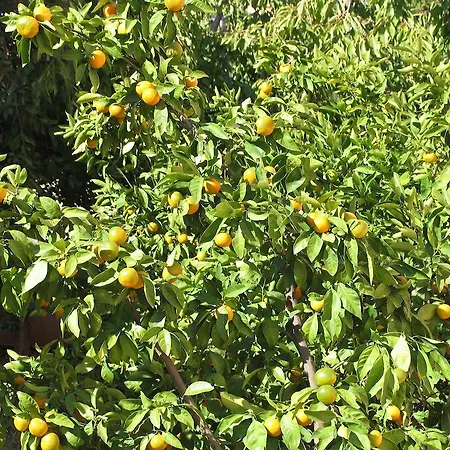 Apartament Mediterranean Sundance