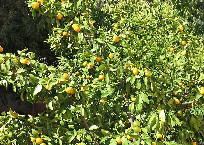 Apartman Mediterranean Sundance